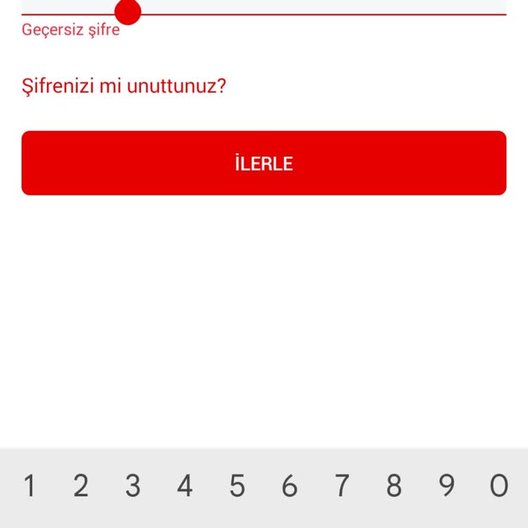 Şifre Unutma Sorunu Ve Yetersiz Müşteri Hizmeti