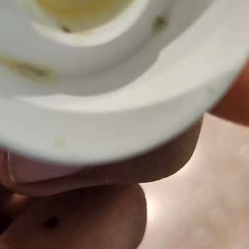 Ebebek Mağazasında Küflü Diş Macunu Ve Yetersiz Müşteri Hizmeti