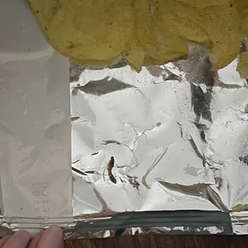 Lays Cips Paketinden Çıkan Şok Edici Sürpriz