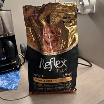 Sahte Mama Yüzünden Köpeğim Mahvoldu