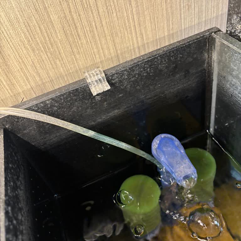 Kles.com.tr Dönüş Dahi Sağlanmadı