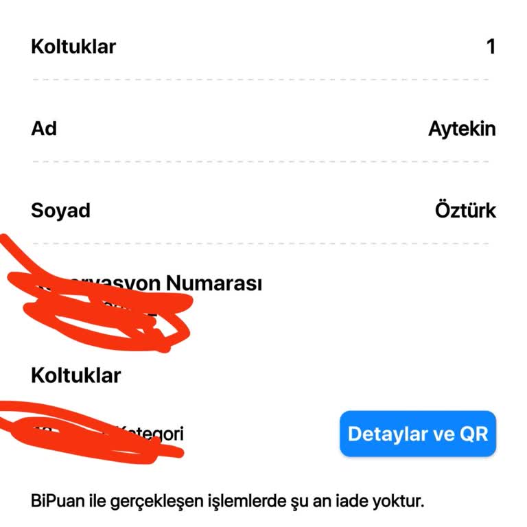 İade Edilemeyen Bilet: Zor Durumda Çaresizlik