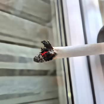 Marlboro Touch Blue'dan Sürekli Talaş Çıkıyor