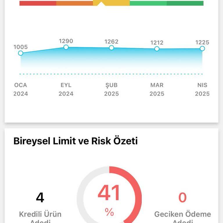 Findeks Puanım Neden Yavaş Yükseliyor