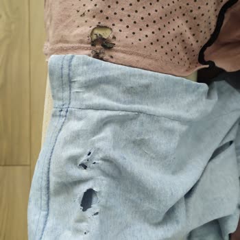 Bosch Washing Machine Tore My Clothes 6 Times, I Got No Real Help!