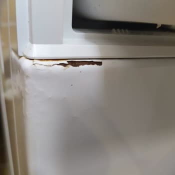 Bosch Washing Machine Tore My Clothes 6 Times, I Got No Real Help!