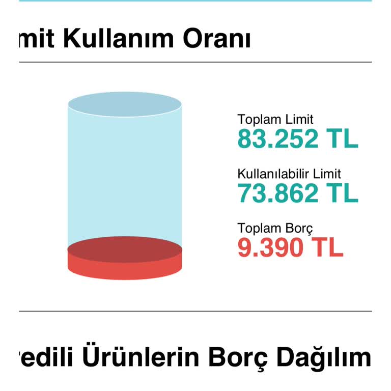 Findeks Risk Raporunda Hatalı Borç Görüntüleme Sorunu