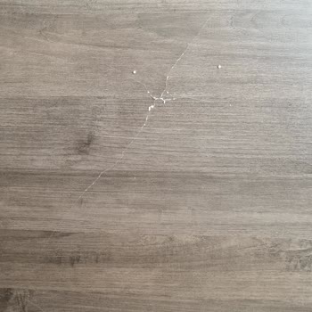 Aylarca Süren Bekleyiş: Kırık Dolap Kapağı Sorunu