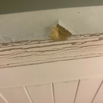 IKEA Hemnes Divan: Teşhir Ve Satış Ürünleri Arasındaki Kalite Uçurumu