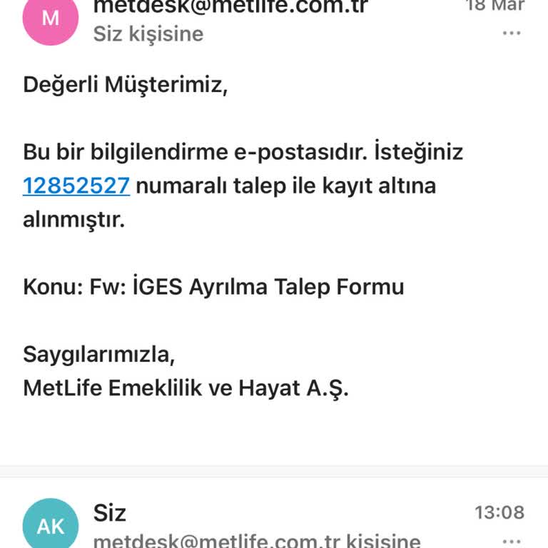 Metlife İle Emeklilik Çilesi: Bilgi Eksikliği Ve Gecikmeler