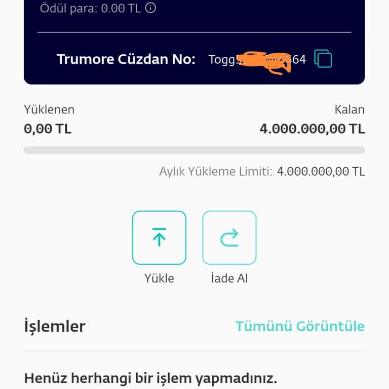E-Cüzdanda Kayıp Para Sorunu