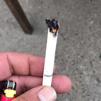 Parliament Sigaralarında Kalite Sorunu: Odun Parçaları