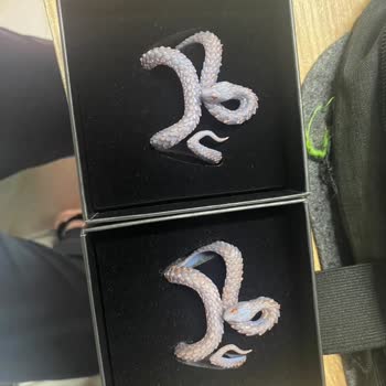 Uncle Fangg İadem Yapılmadı