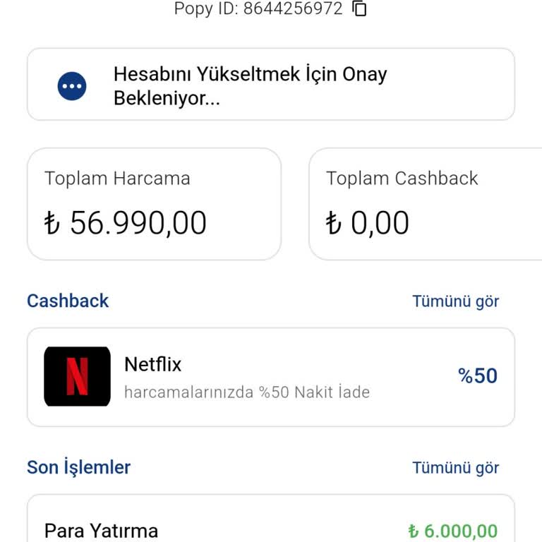 Hesap Yükseltme Sürecinde Yaşanan Sorunlar