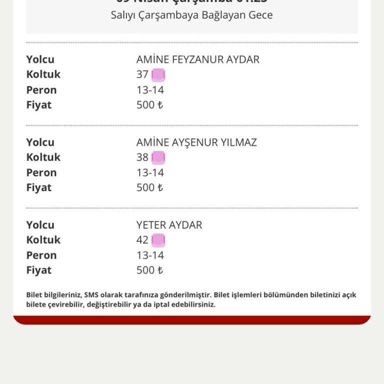 Pamukkale Turizm'de Koltuk Numarası Karışıklığı Ve Kötü Hizmet
