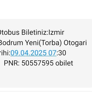 Efe Tur Otogarda Bilet İptali İçin Zorlu Süreç Ve Müşteri Hizmetleri Sorunu