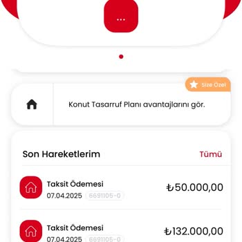 Yanıltıcı Bilgiler Ve Yüksek Masraflar: Birevim Şikayeti