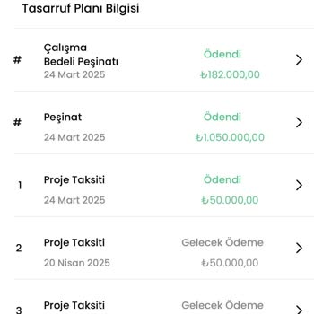 Yanıltıcı Bilgiler Ve Yüksek Masraflar: Birevim Şikayeti