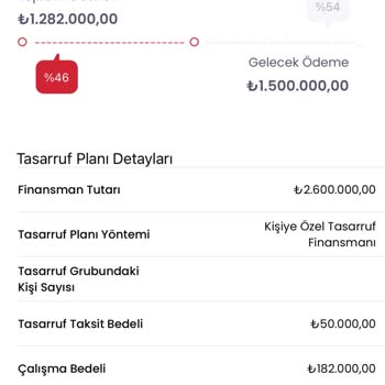 Yanıltıcı Bilgiler Ve Yüksek Masraflar: Birevim Şikayeti