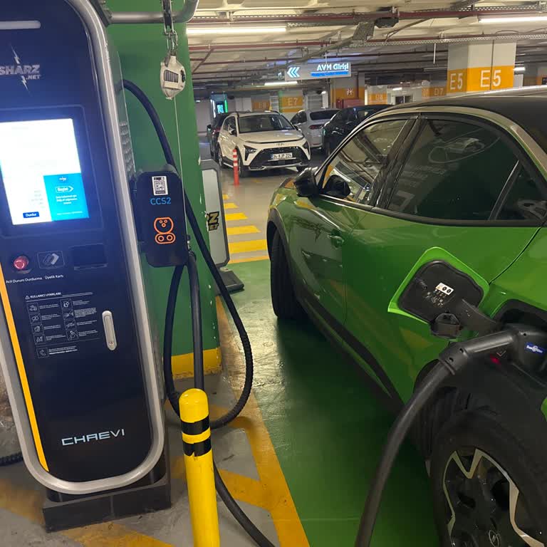 Şarj İstasyonunda Yaşanan Sorunlar Ve Müşteri Hizmetleri Hayal Kırıklığı