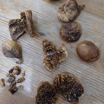 Bayat Ve Kusurlu Ürün Satışı