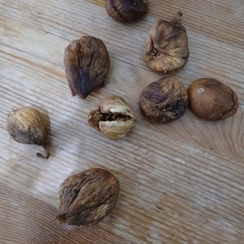 Bayat Ve Kusurlu Ürün Satışı