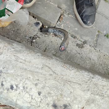 Bina Yıkımı Sonrası İnternet Ve Telefon Bağlantı Sorunu