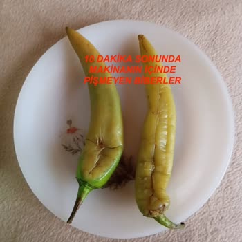 Eki aç