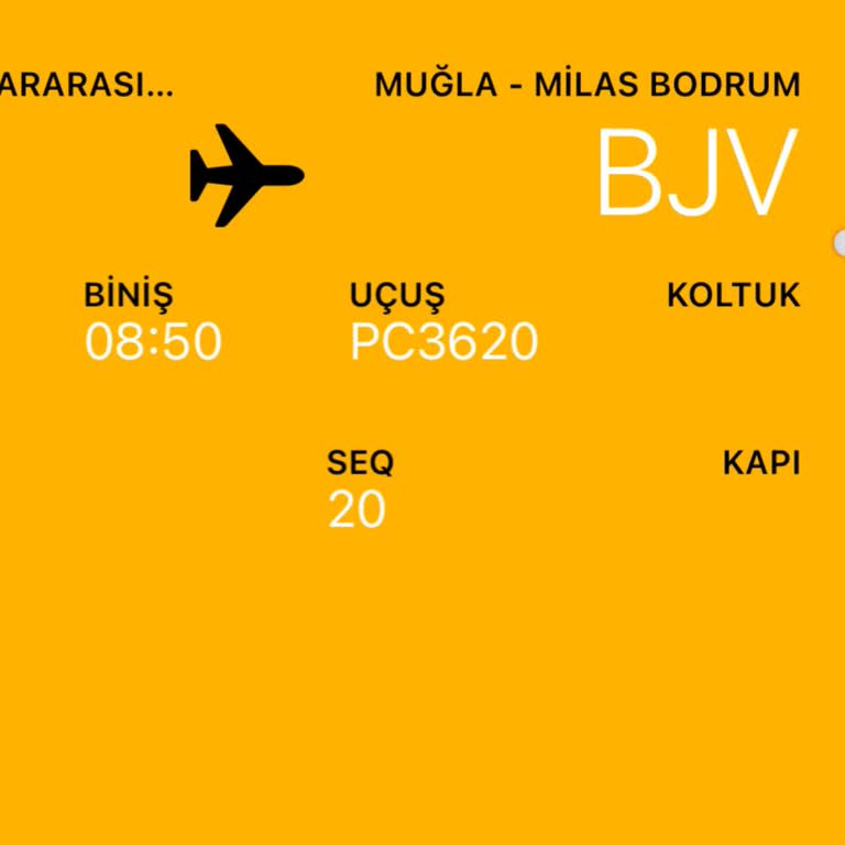 Ani Uçuş İptali Ve Bilgilendirme Eksikliği