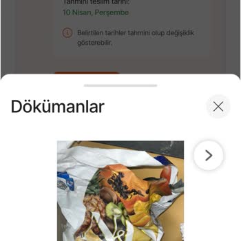 Köpeğim Hasta Oldu, İade Talebim Reddedildi