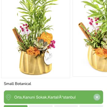 Hayal Kırıklığı Yaratan İlk Çiçek Deneyimi