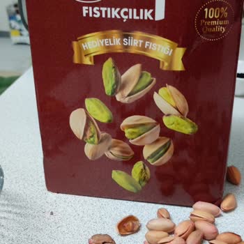 Alp Fıstıkçılık Siirt Fıstığında Beklenmedik Kalite Sorunu