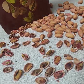 Alp Fıstıkçılık Siirt Fıstığında Beklenmedik Kalite Sorunu