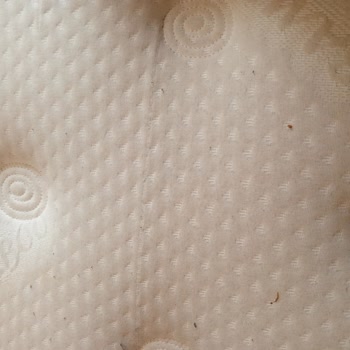Garanti Kapsamında Olmayan Yatak Sorunu