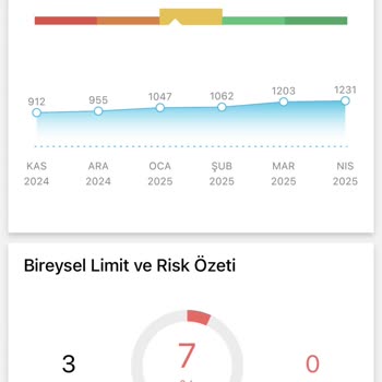 Findeks Puanındaki Belirsizlik Ve Ücretli Danışmanlık Sorunu