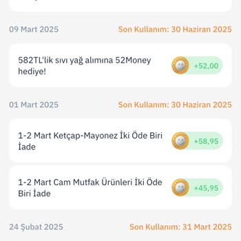 Eksilen Money Puanları İçin Çözüm Bekleyen Müşteri