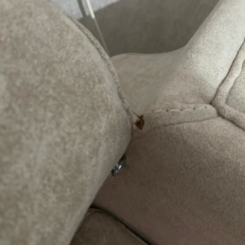 Kelebek Mobilya'dan Aldığım Koltukta Sürekli Sorunlar Yaşıyorum