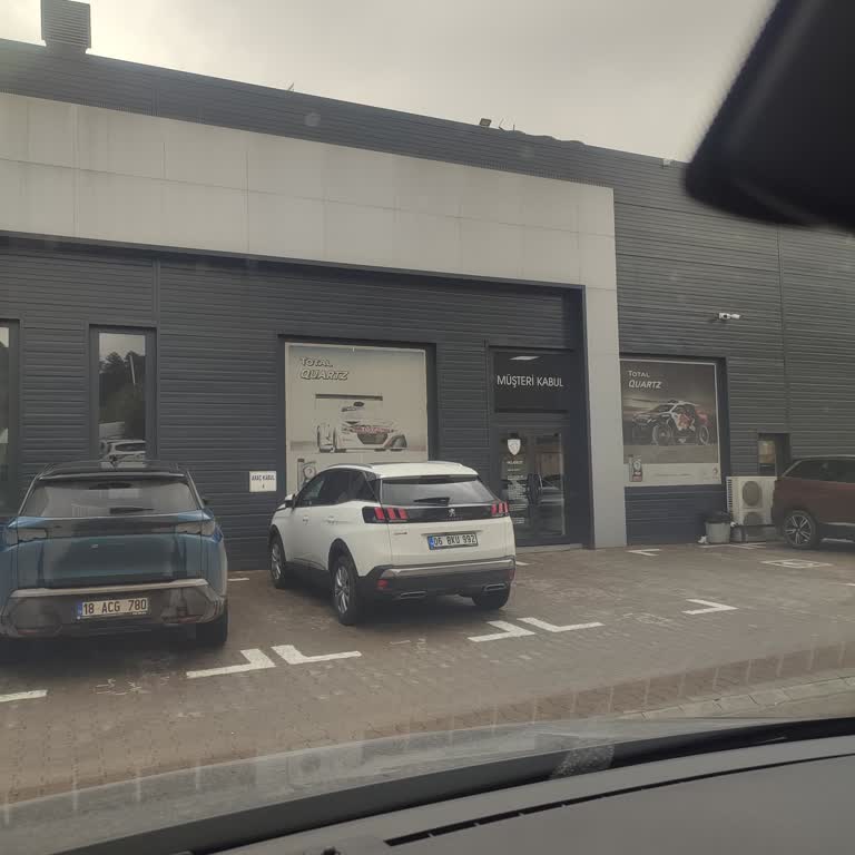 Peugeot Rifter Bakımında Yaşanan Sorunlar Ve Zorunlu Ödemeler