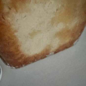 Bosch Fırın Mağduriyeti: Pişirme Sorunu Ve Değişim Talebi!