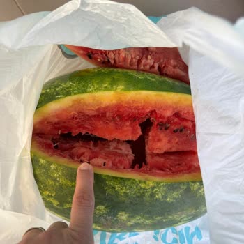 Bozuk Karpuz Ve İade Sorunu