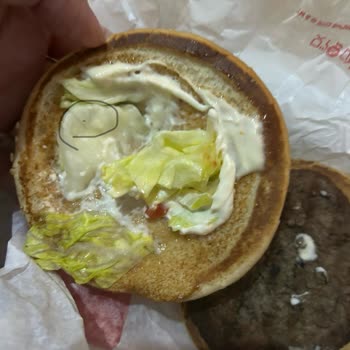 Siparişimde Böcek Çıktı!