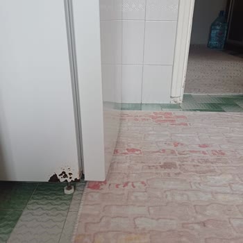 Arçelik Buzdolabında Paslanma Ve Servis Sorunları