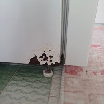 Arçelik Buzdolabında Paslanma Ve Servis Sorunları