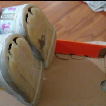 FLO'dan Alınan Ayakkabının Tabanı Yırtıldı