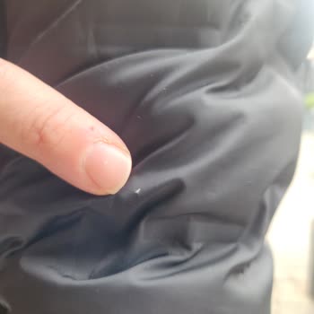 Kaz Tüyü Montta Tüy Dökülmesi Ve İade Sorunu