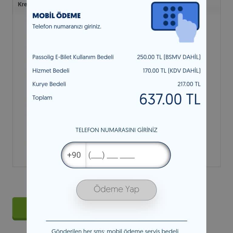 Passolig Sanal Kart Sorunu Çözülmüyor