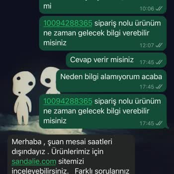 Kargoda Kaybolan Koltuk: Sandalie Firmasının İletişim Sorunları