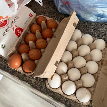 Kırık Yumurtaların İadesinde Gecikme
