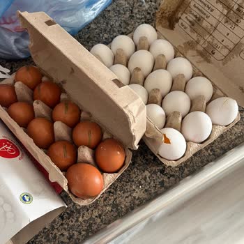Kırık Yumurtaların İadesinde Gecikme