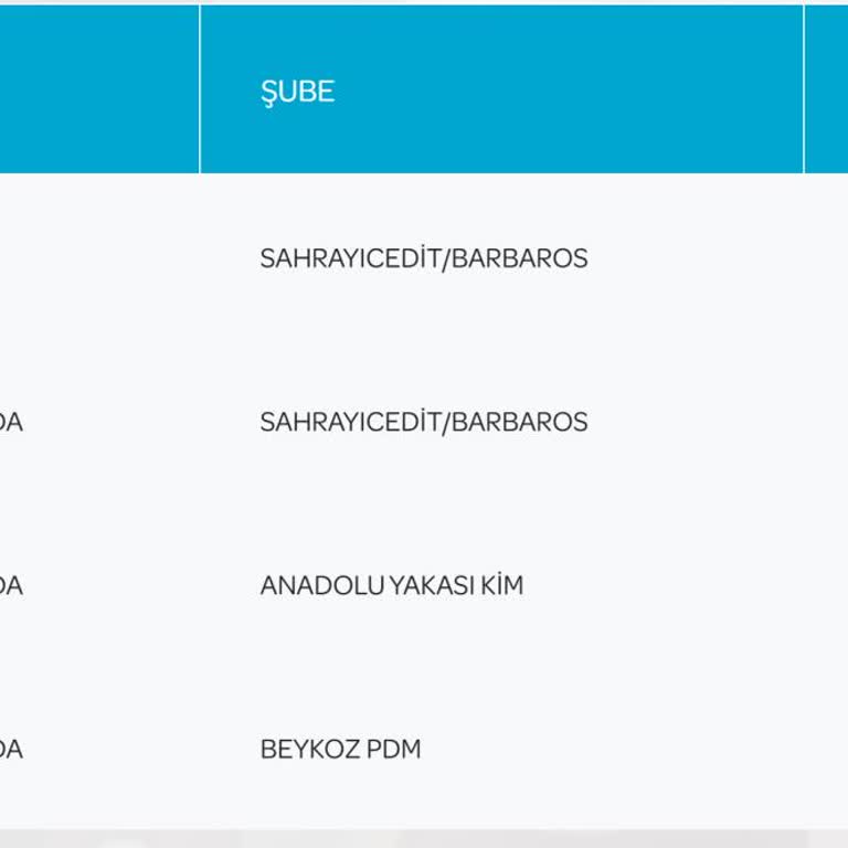 PTT Kargo İle Kadıköy'den Beykoz'a Ulaşmayan Kargo: İletişim Ve Hizmet Eksikliği